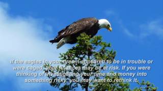 eagle dream meaning [upl. by Brenden]