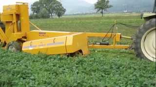 Fresh market bean harvester one row  Oxbo BH100  Sweere [upl. by Fougere]