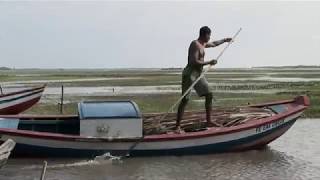 Santo Amaro  Maranhão [upl. by Ennaylil]