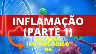 INFLAMAÇÃO PARTE 1   IMUNOLOGIA SISTEMA IMUNOLÓGICO  ENSINO SUPERIOR [upl. by Randi411]