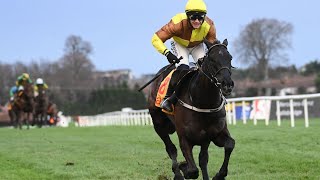 GALOPIN DES CHAMPS sparkles in Savills Chase romp [upl. by Ellenahc]