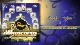 Los Horóscopos De Durango  Cabello Mojino Álbum Completo [upl. by Christian]