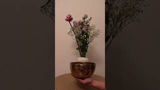 Relax with Throat Chakra Tibetian singing bowl shorts yogi 432hz calm relaxing meditation fyp [upl. by Lanahtan981]