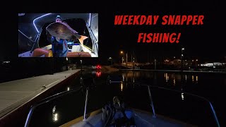 Weekday Snapper Fishing Hastings Launch snapper snapperfishing fishingaustralia [upl. by Isolt]