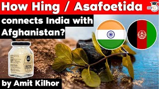 India Afghanistan Trade Relations  History of Asafoetida Hing spice explained Current Affairs UPSC [upl. by Nedle]