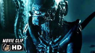 AVP ALIEN VS PREDATOR Clip  quotXenomorph Kills Predatorquot 2004 [upl. by Blancha746]