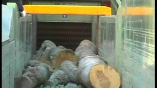 GLOBUS  MTG Drum Chipper for wood logs [upl. by Analli]