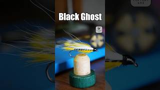 Black Ghost  Fly Tying Tutorial [upl. by Aicnelev]