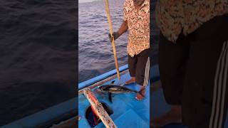 മീനിനെ ബോധം കെടുത്തിയത് കാണണോ shortsfeed malayalamfishing fishing malayalamfishingvideo fish [upl. by Patt541]