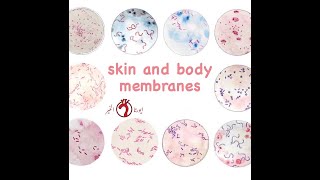 Histology \\ Skin and Body Membranes [upl. by Normand]