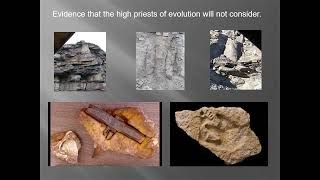 Paluxy Fossil Trackways of Dinosaur and Human Footprints [upl. by January]