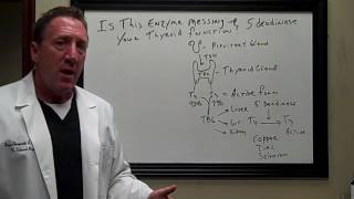 Thyroid Recovery When theres a mess up with an enzyme [upl. by Atnod]