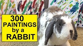 300 paintings made by a rabbit [upl. by Aicenev]