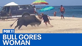 Bull attacks woman on Mexican beach near Cabo San Lucas [upl. by Merrel8]