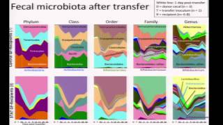 Microbiome and Obesity  Martin Blaser [upl. by Chery]