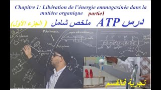 vidėo1 chapitre de l ATP 2BAC SVT et PC partie1 ATPالجزء الأول من درس [upl. by Itsirc]