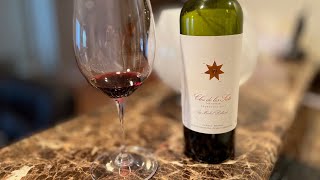 Clos De Los Siete 2017 Malbec Argentina Value Wine Review [upl. by Dennard]