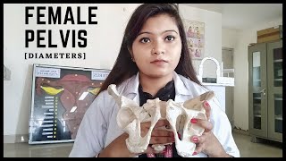 Diameters of Female Pelvis  Gynaecoid Pelvis Full Explanation  OBG Practical Female Pelvis [upl. by Anegroeg]