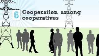 The Cooperative Business Model — The Seven Cooperative Principles [upl. by Ateuqram790]