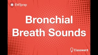 Bronchial Breath Sounds Animation  EMTprepcom [upl. by Agnola641]