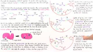 Step 1 of Citric Acid Cycle Part II [upl. by Cynthia]