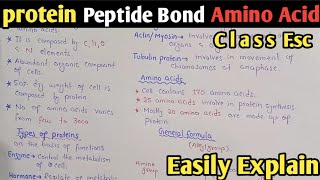 Proteins  Amino Acid Formula  Peptide Bond  Class 11 Biology UrduHindi [upl. by Euqinotna]