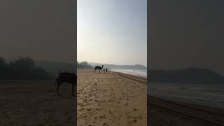 Gokarna beach [upl. by Vijnas510]