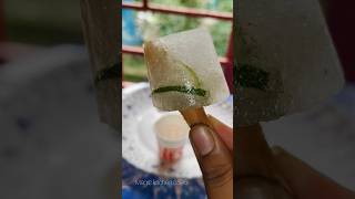 Popsicle recipe short youtubeshorts viral trindinge magickitchen3596 [upl. by Dyna]