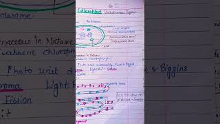 chloroplast structure notes shorts youtubeshorts neet photosynthesis [upl. by Ayikan]