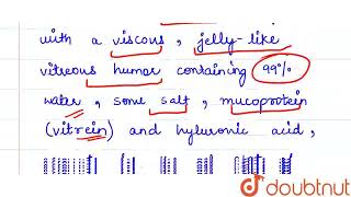 Mucoprotein which found in vitreous humour is   CLASS 12  SENSORY ORGANS  BIOLOGY  Doubtnut [upl. by Peterson]