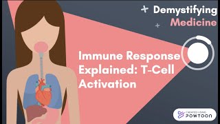 Immune Response Explained TCell Activation [upl. by Aniryt]