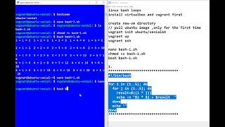 learn bash linux script with vagrant and virtualbox [upl. by Nodnek]