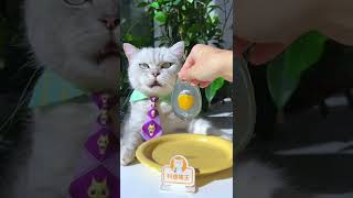 Longyin Poached Egg Is So Cute🤤😲😍 ASMR  Chef Cat Cooking  Creative Food Idea tiktok Shorts [upl. by Schuman]