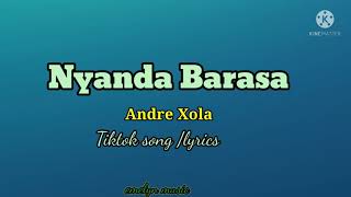 Andre Xola  Nyanda Barasa lyricstiktok song [upl. by Ocisnarf]