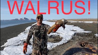 S21Ep11 Alaska Beach Combing for Walrus Tusks and Glass Balls [upl. by Nagorb277]