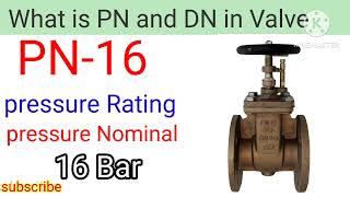 What is PN and DN in valves PN16 and DN50 meaning [upl. by Atsylac824]