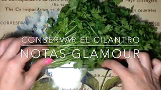 CÓMO GUARDAR EL CILANTRO EN LA NEVERA  CILANTRO FRESCO POR MÁS TIEMPO  CONSERVACIÓN DE ALIMENTOS [upl. by Nuli186]