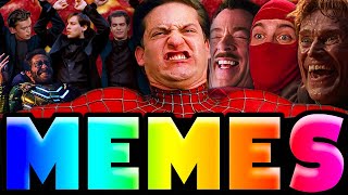 SPIDERMAN MEME COMPILATION [upl. by Raouf214]