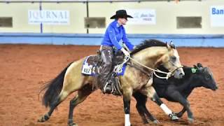 A Judges Perspective 2017 AQHA World Junior Working Cow Horse World Champion [upl. by Anavoig]