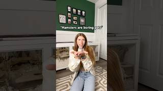 “Hamsters are boring pets” pets hamsters shortsyoutube [upl. by Trula941]