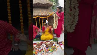 রাখির আইবুড়োভাতে কি কি রান্না বান্না করলামshots trending vlog [upl. by Ransell128]