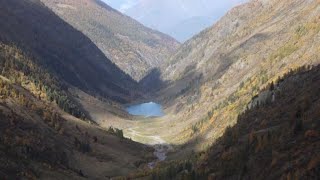 Valtellina scoperto un ecosistema preistorico fossile [upl. by Kayley391]