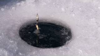 Ice Fishing at Panguitch Lake [upl. by Robet]