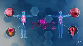 Homologous Recombination Deficiency  Central Principles of Molecular Biology [upl. by Humo]