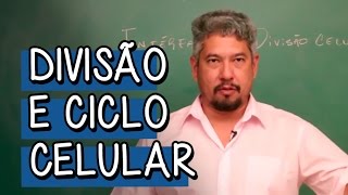 O que é Intérfase  Extensivo Biologia  Descomplica [upl. by Sloane]