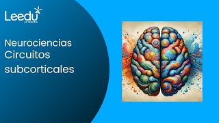 Circuitos subcorticales de supervivencia [upl. by Dawes]