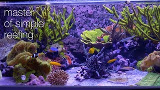 Amazing Aquariums amp Reefs Lives Up To Its Name [upl. by Nnyloj]