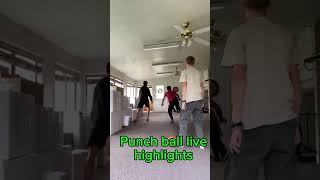 Punch ball the next big sport 🤩🤩 shorts punchball indoorbaseball baseball kickball [upl. by Norford529]