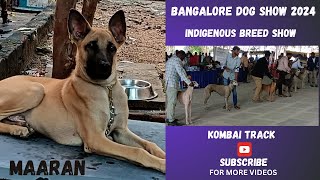 Rajapalayam  Kombai  Chippiparai  Caravan  Mudhol Hound Dog show  Bangalore Dog Show 2024 [upl. by Ardnua]