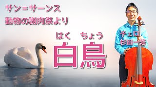 サン＝サーンス 動物の謝肉祭より「白鳥」｜チェロ 杉田一芳 ピアノ 村田智佳子｜The Carnival of the Animals R 125 XIII The Swan｜ [upl. by Airetak]